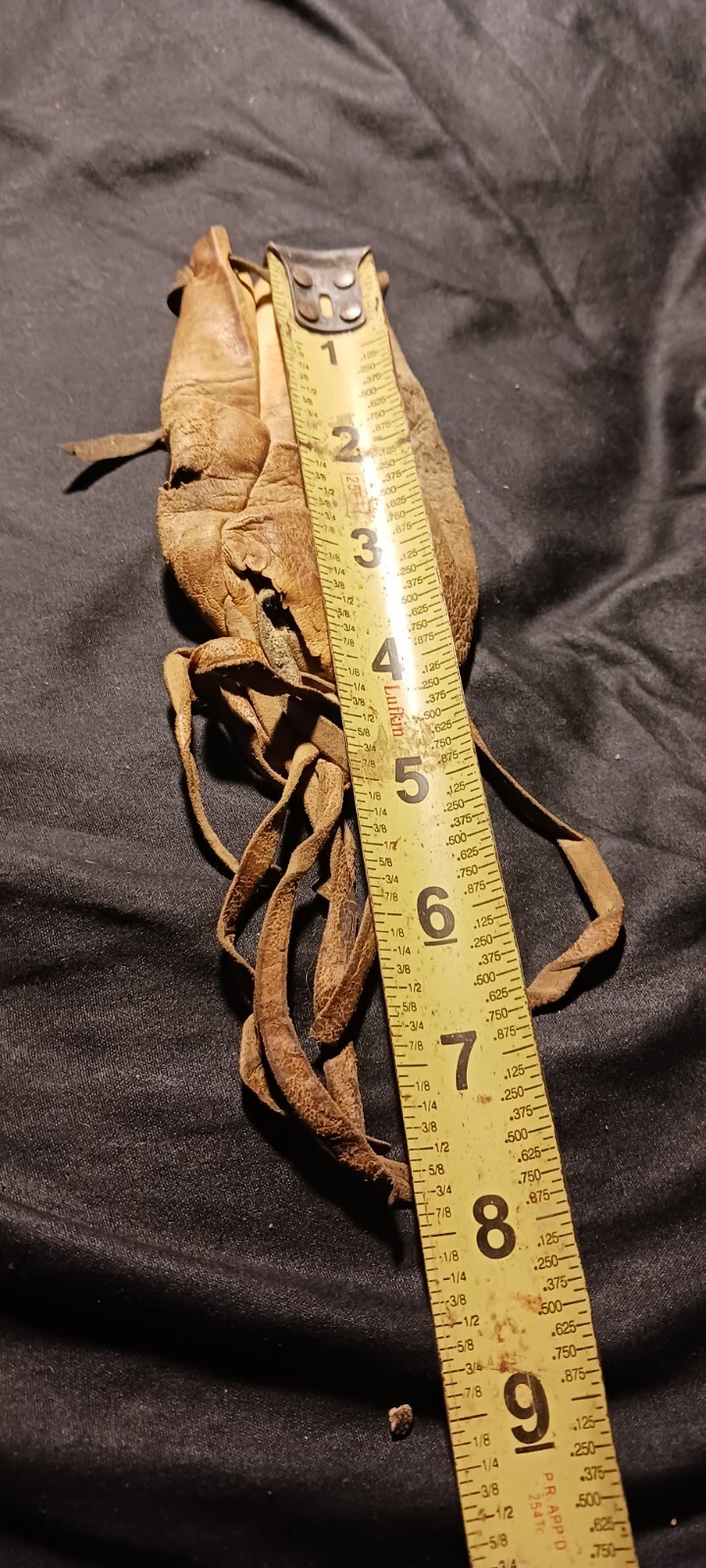 Picture 6 of 6