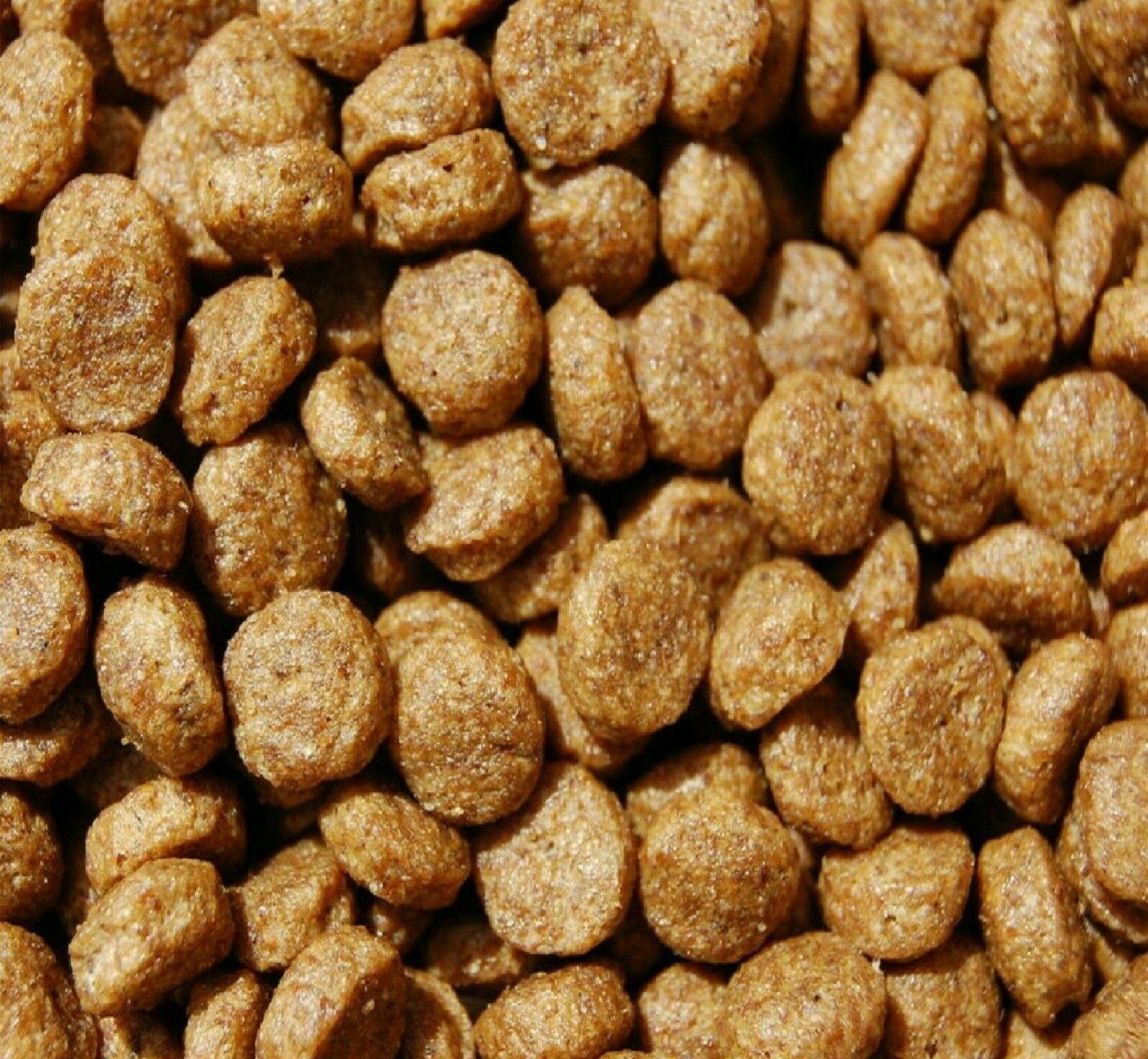 10kg DR JOHN PUPPY Chicken Complete Junior Dog Food bp Puppies Kibble