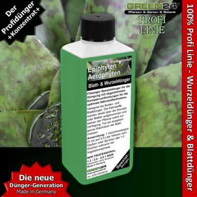 sansevieria cylindrica mini Sansevieria Cylindrica | Snake Plant | Care Guide and Pro Tips main image 0