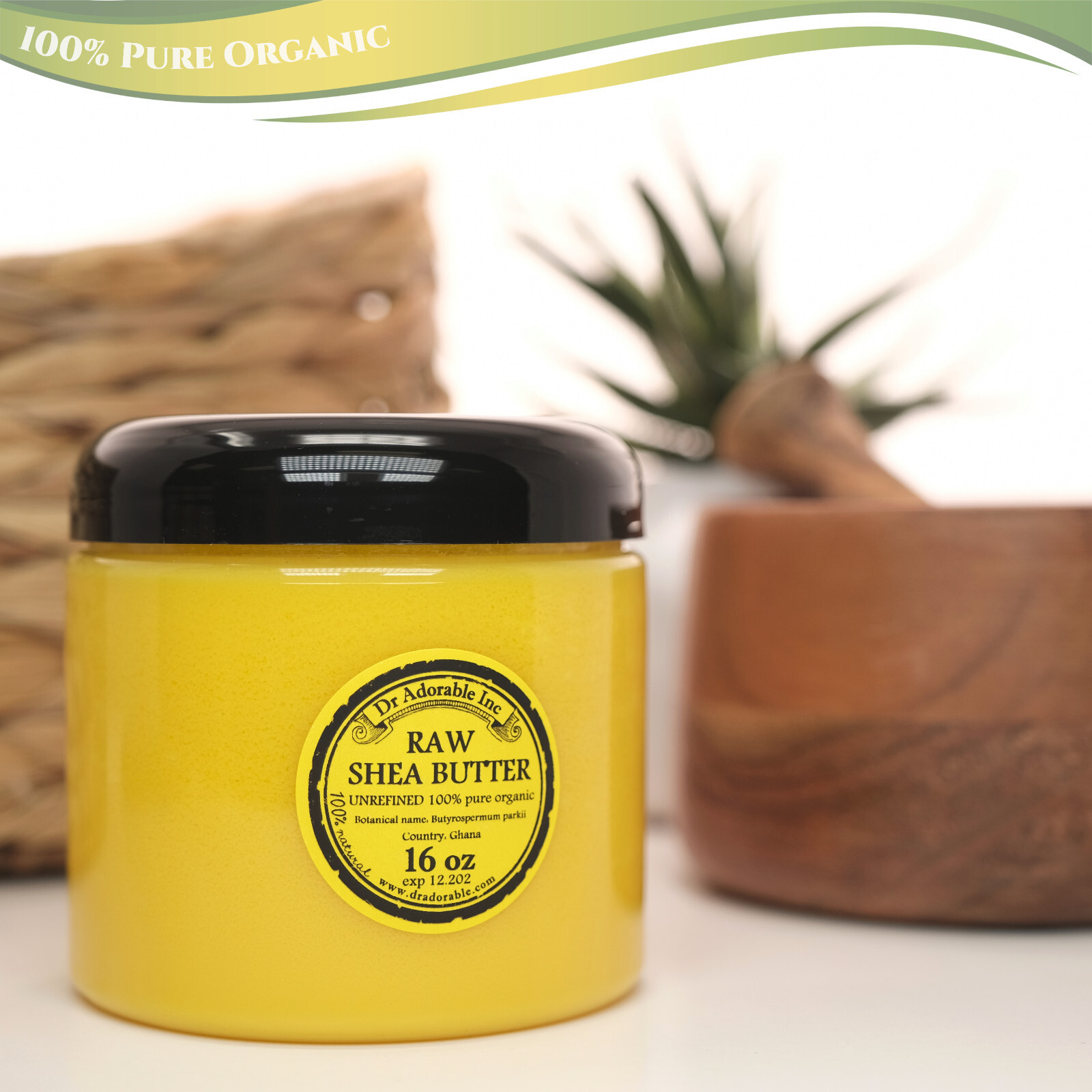 Pure Refined Organic Shea Butter - Cold Pressed, Natural, Sizes From 2 Oz Up To 12 Lbs By Dr. Adorable