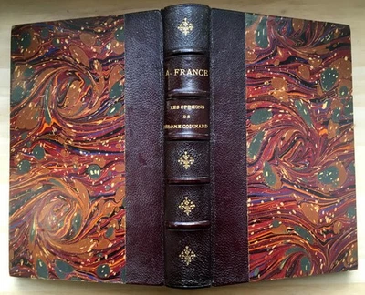 1901 EDITION ORIGINALE ANATOLE FRANCE LES OPINIONS DE JEROME COIGNARD*RELIURE* - Photo 1/4