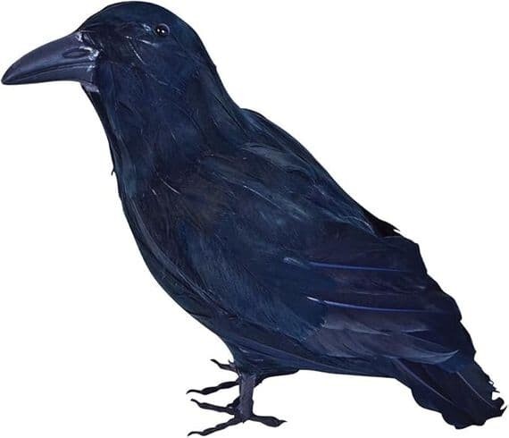 Halloween Decorative Feathered Raven