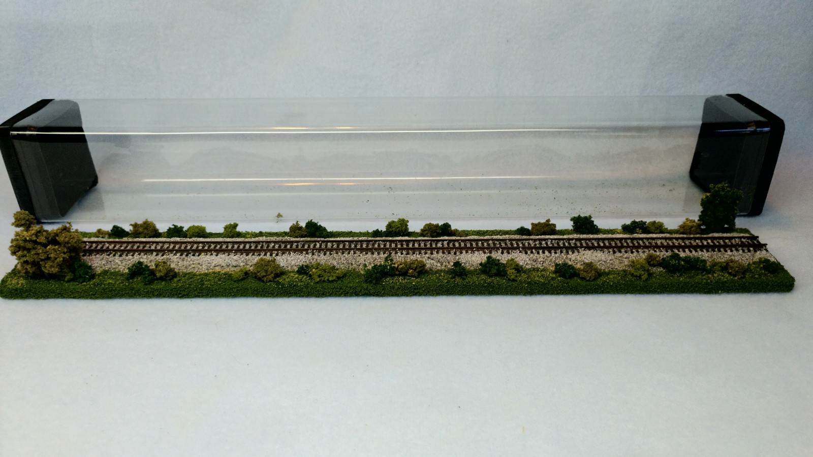 Picture 6 of 12