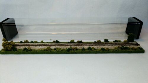 Z SCALE 14" DISPLAY TUBE - "SUMMER SCENE" - FOR ANY Z LOCOS AND CARS - Picture 6 of 12