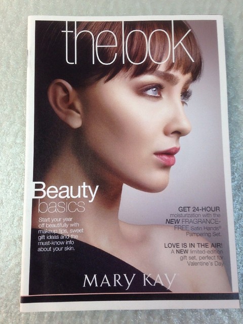 Mary Kay Catalog December 2009 THE LOOK BOOK | eBay
