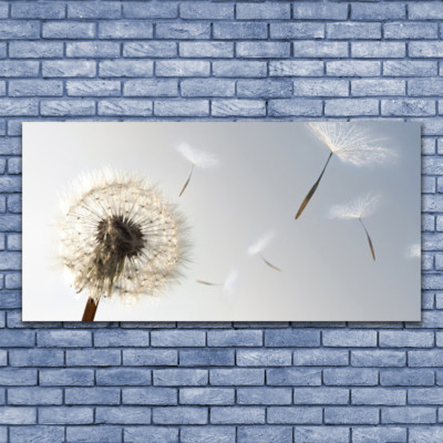 Image sur verre Tableau Impression 125x50 Deko Fleurs et