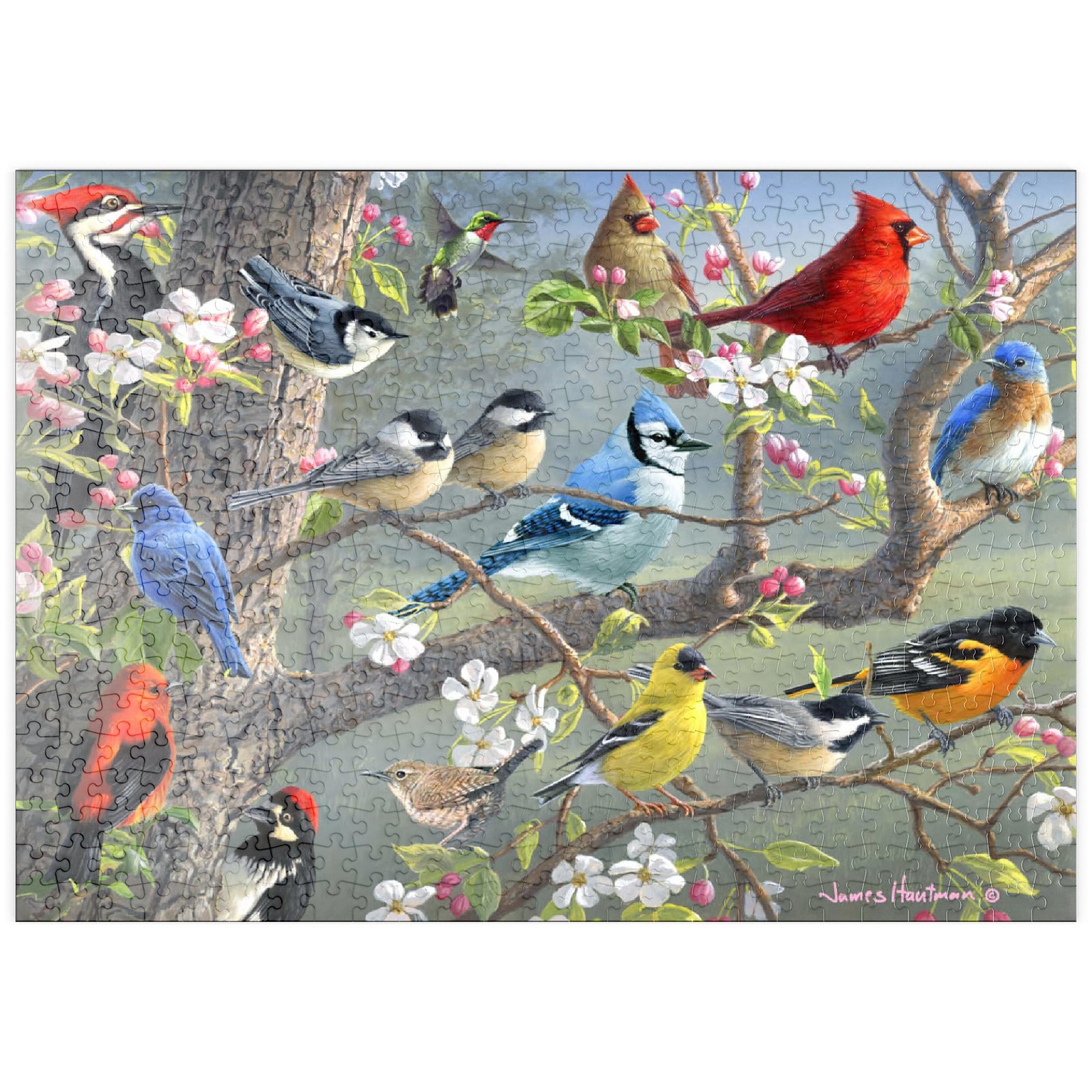Puzzle oiseaux multicolores 500 pièces pour vos soirées chalet