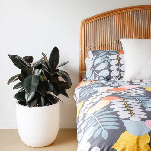 Byron Rattan Bedhead Double Size Natural - Picture 2 of 7