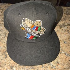 Quad Cities River Bandits Copa de la Diversi�...