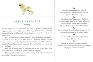 Great Pyrenees - CUSTOM MATTED Dog Art Print - Breed Description and History