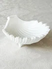 VTG Westmoreland White Milk Glass Sea Shell, Sea Shell shape, zig zag Scalloped