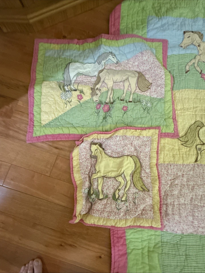 Giddy Up Cowgirl 100% Cotton 94x85 Full Size, 2 Shams & Bedskirt - Image 2 of 4