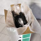 Foto 24 di 24