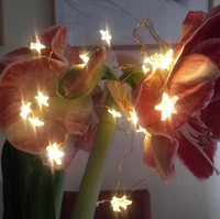 Timer Led Sterne Lichterkette Golddraht Batterie Betrieben Dekoration Draht Gold