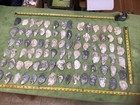 Lot of 90 Atlantic Oyster Shells 4 To 2.75 Inches   Long Polished In The Ocean — photo 1