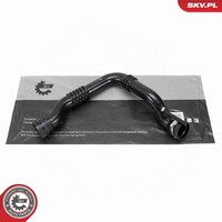 Esen SKV Ladeluftschlauch 24SKV996 FüR Renault Laguna 3 BT0 KT0 DT0 Dci BT01