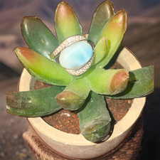 Authentic Marahlago Adella Larimar & White Sa...