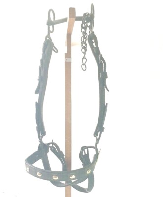 Bride de cheval snaffle - Canada