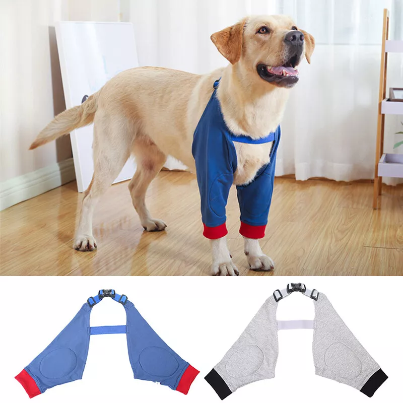 Dog front leg support cheap harness
