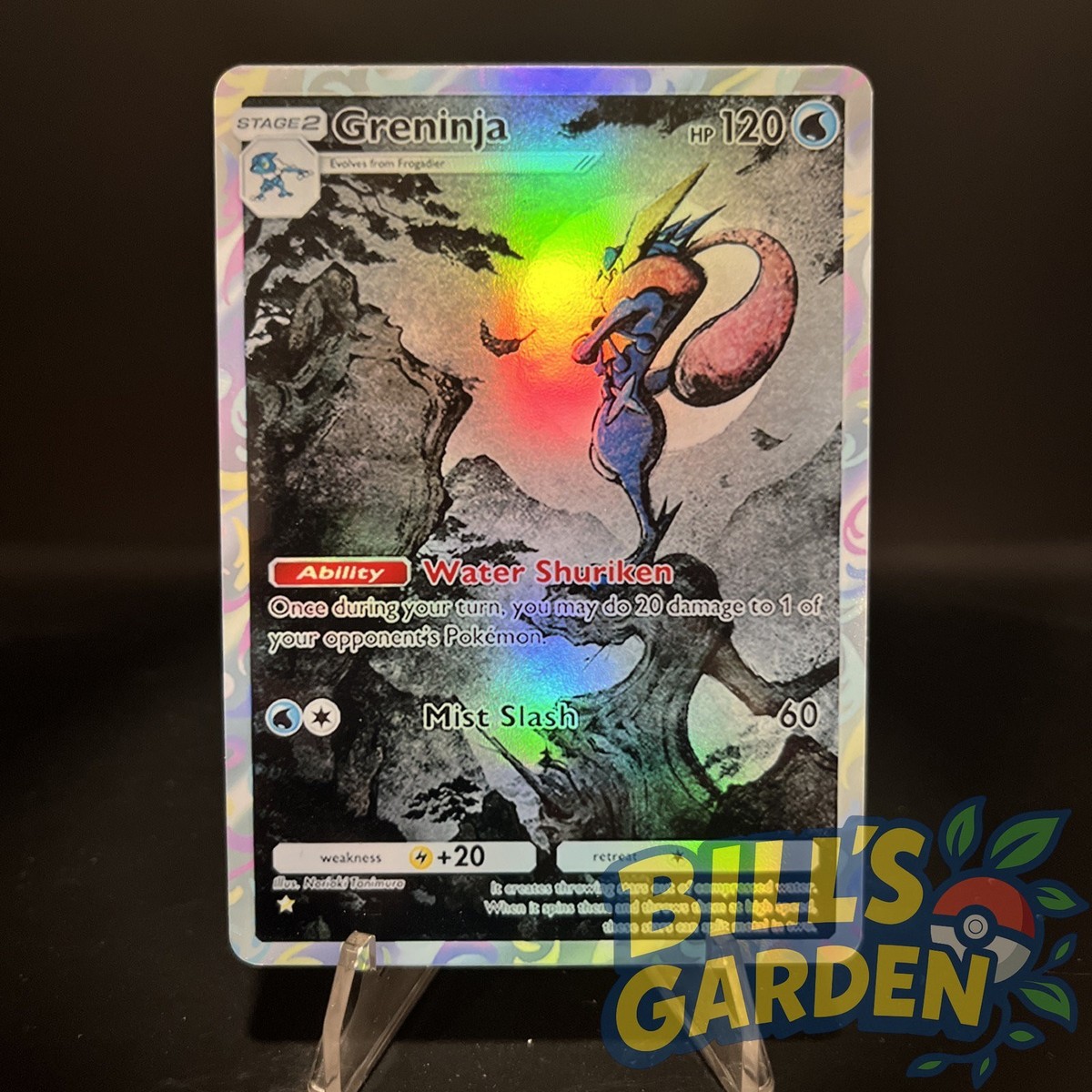 ポケモンカード Greninja 130HP 2枚セットプロモ Greninja Star - SWSH: Sword & Shield Promo Cards - Pokemon