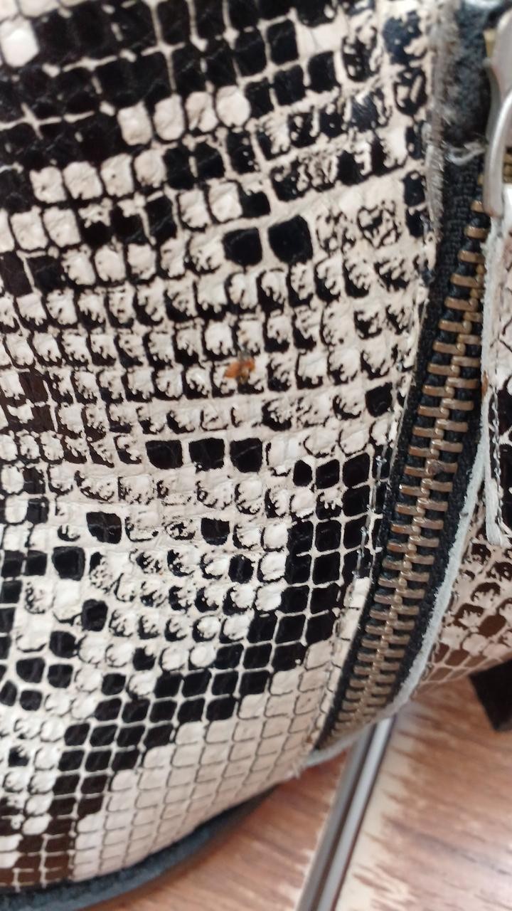 Lisa Vicky Python Condition B Short Boots FYO35 - image 8