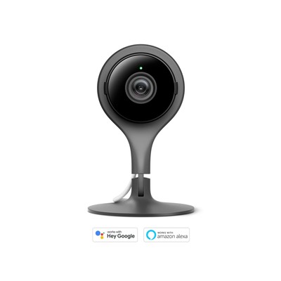 nest cam google home