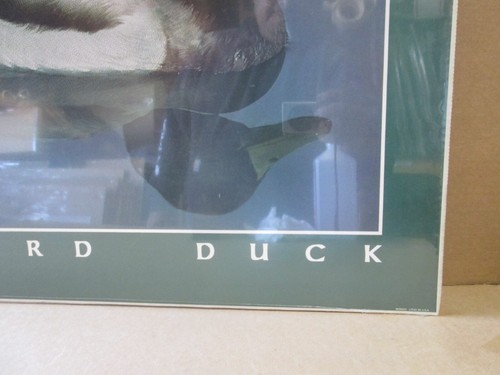 MALLARD DUCK 1985 VINTAGE POSTER CNG3145 - Picture 5 of 5