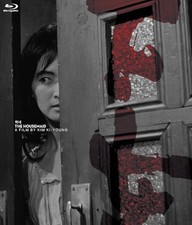 The Housemaid Special Price  Blu-ray  Kim Ki Young, Kim Jin Kyu F/S w/Track 
