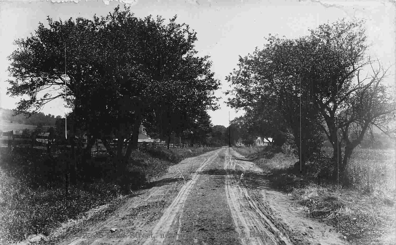 West Main Street Near Bridge Looking East Willet New York Real Photo
