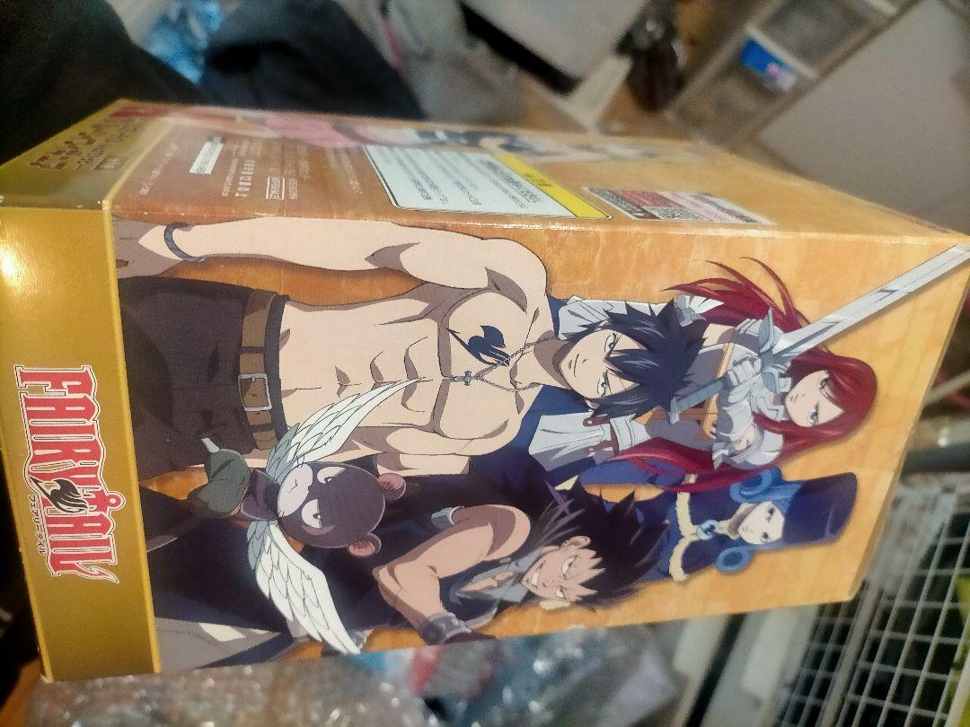 FAIRY TAIL 特装版　限定版　BOX Fairy Tail Manga Box Set 5 - by Hiro Mashima (Mixed Media Product