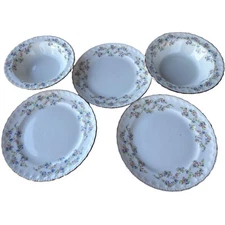 VINTAGE 5-piece POPE-GOSSER Ceramic Bowl & Plate Dish Set Floral Print (READ)