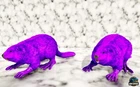 🦖ARK Survival Ascended Castoroides Top Stats PVE PS5/XBOX/PC