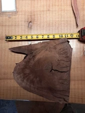 Live Edge 1inch Black Walnut Slice