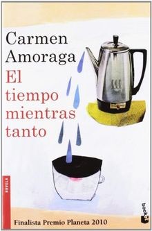 El tiempo mientras tanto von AMORAGA, CARMEN | Buch | Zustand gut