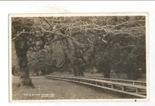 RPPC POSTAL HISTORY PASADENA CAMP BAUER KORBEL CALIFORNIA REAL PHOTO POSTCARD RP