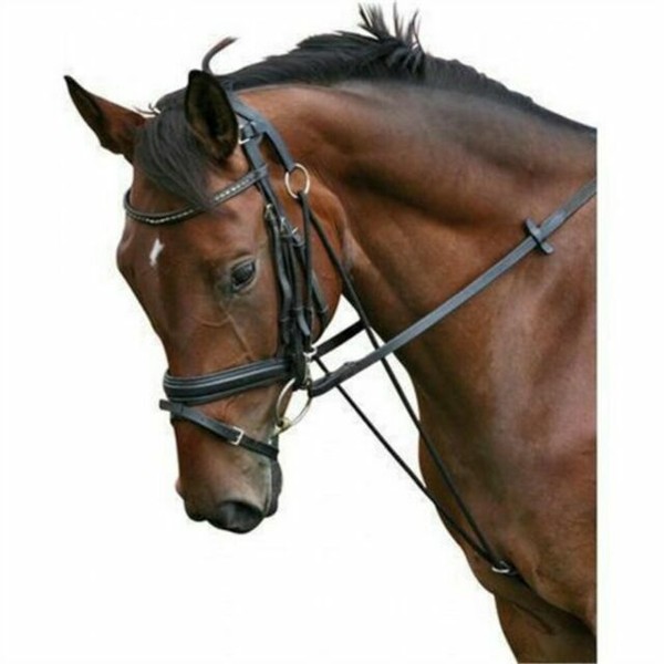 PFIFF German Black Leather Chambon Horse Training Aid Full for sale