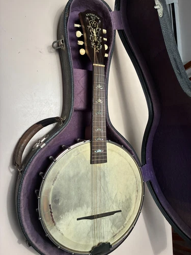 Vintage Orpheum Banjo/Mandolin With Hard Shell Case