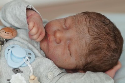 bonnie brown reborn dolls ebay