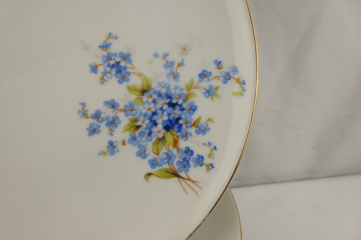 Cornelia Loucky Carlsbad Czech Set 10 Salad Plates Blue Flowers