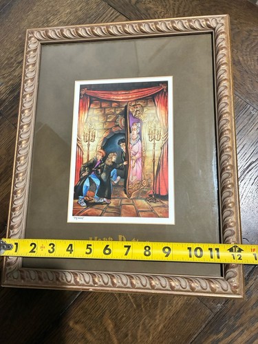 Harry Potter Warner Bros gerahmte Buchkunst Lithographie - "Schweineschnauze" 2000 - Bild 9 von 9