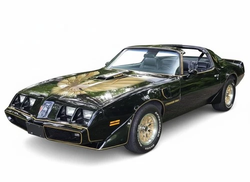 Full kit of Hood Stripes Sticker Decal for Pontiac Firebird Trans Am 1978 T/A 66