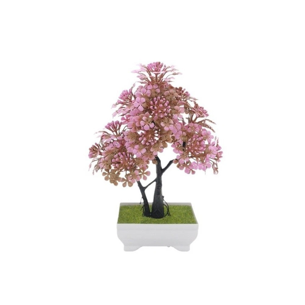 Kirschblten Bonsai online kaufen | eBay.de