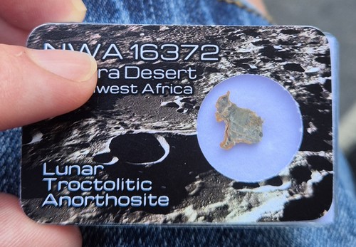 NWA 16372 RARE Lunar Troctolitic Anorthosite Meteorite Fragment - Picture 4 of 5