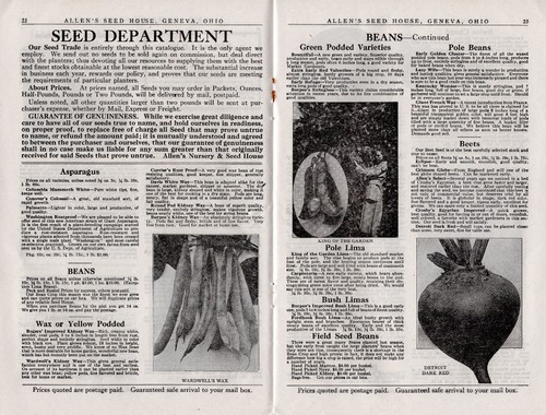 Seeds Fruits Trees & Vines 1927 Catalog Allens Nurseries & Seed House Geneva OH - Picture 6 of 7