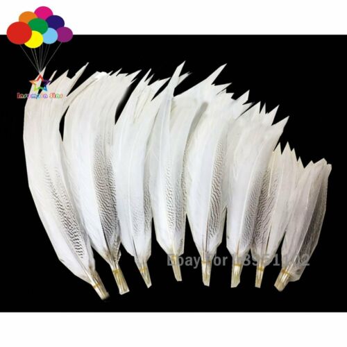 50 pz piumaggio argento naturale piuma di fagiano 40-80 cm bianco coda motivo nero - Foto 2 di 13