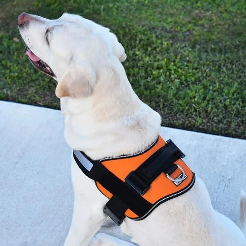 Dog Harness, Reflective No-Pull Adjustable Vest with Girth 22" to 28" Orange Dog Harness, Reflective No-Pull Adjustable Vest with Girth 22" to 28" Orange