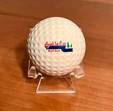 Myakka Pines Golf Club (Florida) Vintage Older Rare Collectible Logo Golf Ball