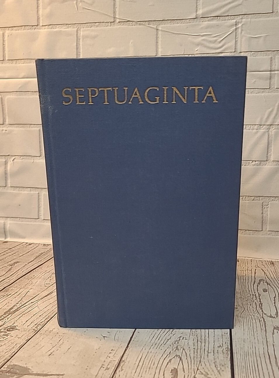 Foto 2 di 12