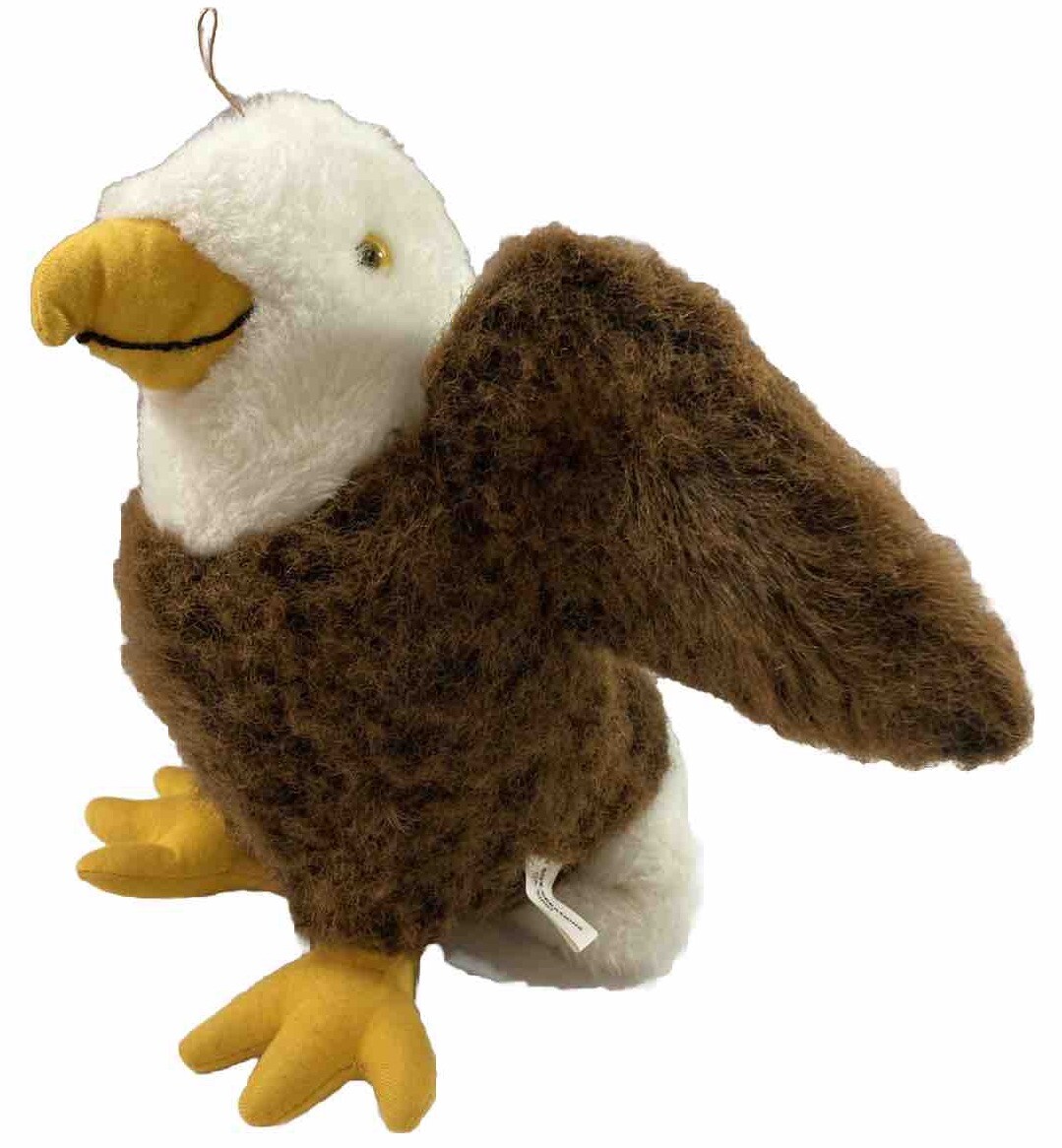 American Eagle bird 11