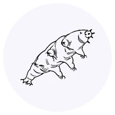 24 x 'Tardigrade' Stickers - for Crafts, Scrapbooking and Labelling (SK00018738)